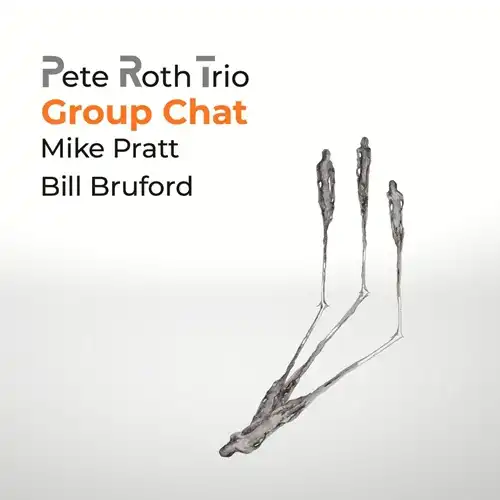 PETE ROTH TRIO FEATURING BILL BRUFORD / ピート・ロス・トリオ・フィーチャリング・ビル・ブルーフォード / GROUP CHAT - CD/DVD