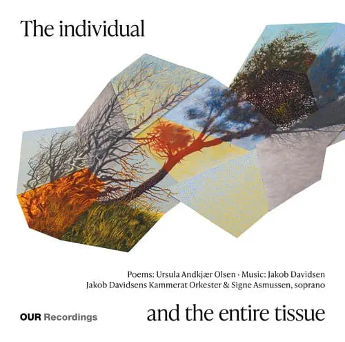 SIGNE ASMUSSEN / シーネ・アスムセン / INDIVIDUAL AND THE ENTIRE TISSUE / JAKOB DAVIDSEN:THE INDIVIDUAL AND THE ENTIRE TISSUE