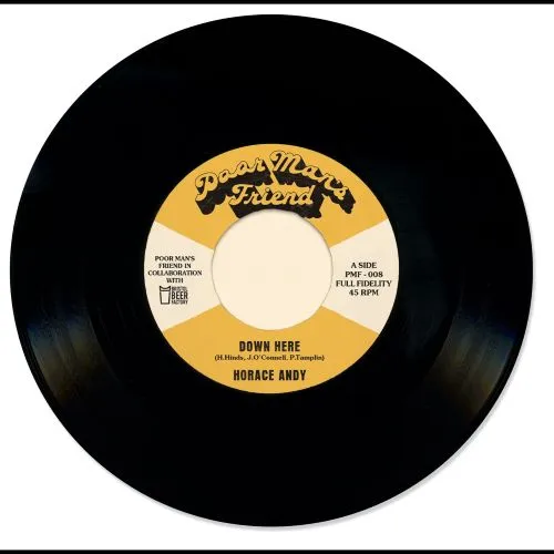 HORACE ANDY / ホレス・アンディ / DOWN HERE