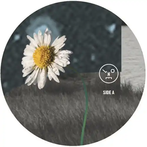 SASHA / サシャ / HOLLOW SUN