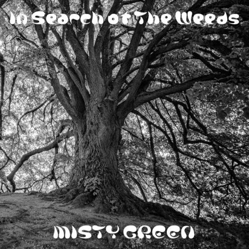 MISTY GREEN / ミスティ・グリーン / IN SEARCH OF THE WEEDS / イン･サーチ･オブ･ザ･ウィーズ