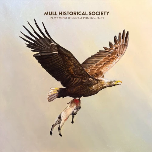MULL HISTORICAL SOCIETY / マル・ヒストリカル・ソサエティー / IN MY MIND THERE'S A PHOTOGRAPH (CD)