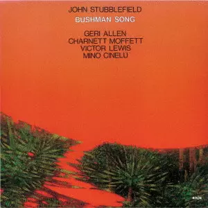 JOHN STUBBLEFIELD / ジョン・スタッブルフィールド / BUSHMAN SONG / ブッシュマン・ソング