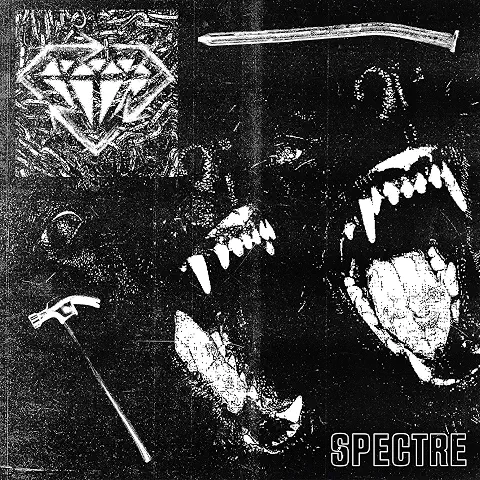 STICK TO YOUR GUNS / SPECTRE
