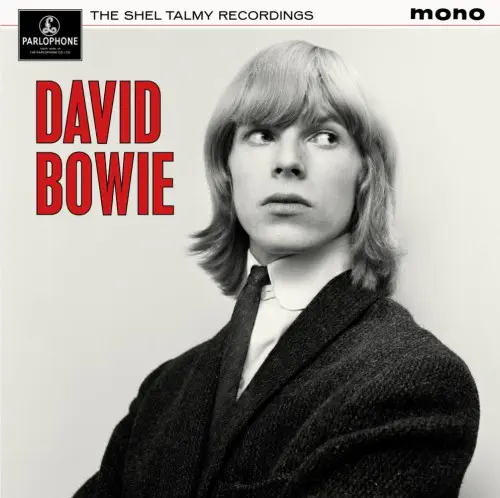 DAVID BOWIE / デヴィッド・ボウイ / THE SHEL TALMY RECORDINGS (CD)