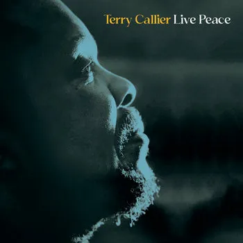 TERRY CALLIER / テリー・キャリアー / LIVE PEACE (2LP)