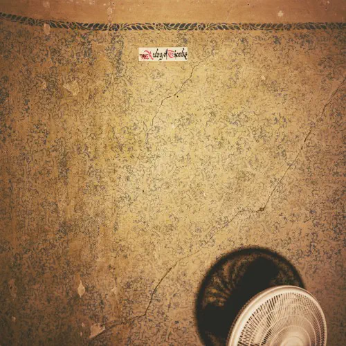 RUBY OF THANKS / BEFORE YOU TURN INTO A DOG (LP)