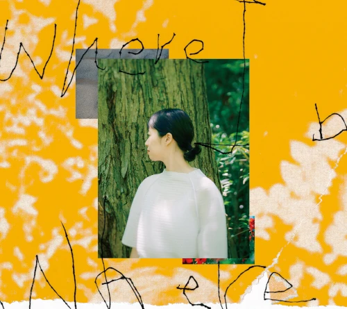 Yoko Suzuki / 鈴木瑶子 / ウェア･アイ･ビロング / Where I Belong