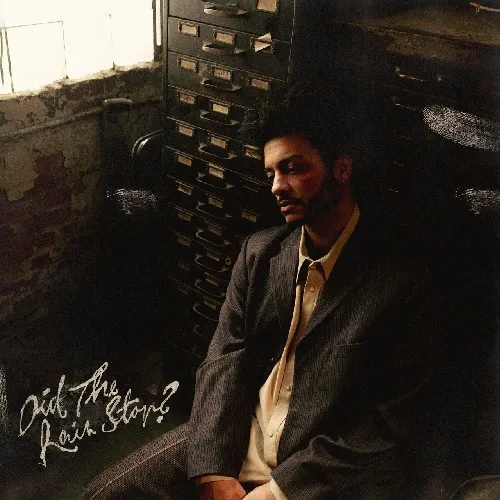 FELIX AMES  / DID THE RAIN STOP? (LP)