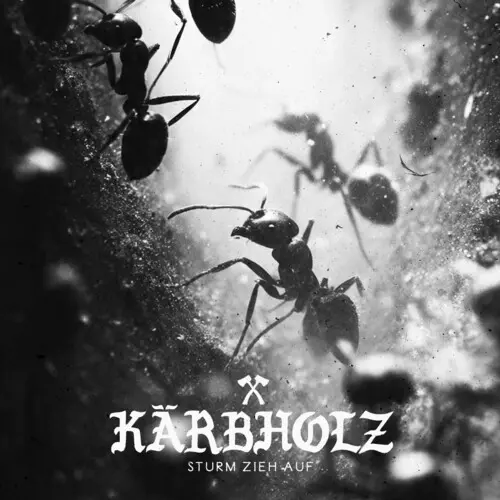 KARBHOLZ / STURM ZIEH AUF