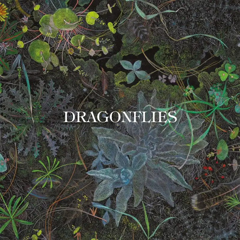 DRAGONFLIES (DHANI HARRISON/NIGEL GODRICH) / ドラゴンフライズ / DRAGONFLIES (LP)