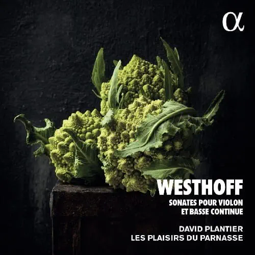DAVID PLANTIER / ダヴィド・プランティエ / WESTHOFF:SONATES POUR VIOLON