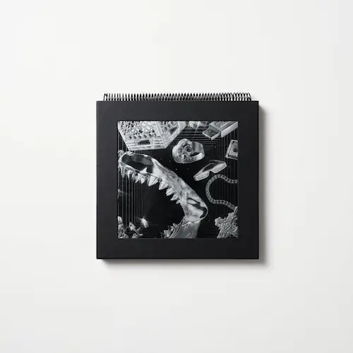 V.A. (LEX RECORDS) / LEX XX (3LP BOX)