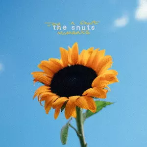 SNUTS / スナッツ / ジョイ・イン・ショート・モーメンツ