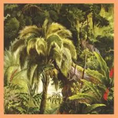 XIU XIU / シュ・シュ / LA FORET (LP, JADE ECO-MIX VINYL, W/ LYRICS)