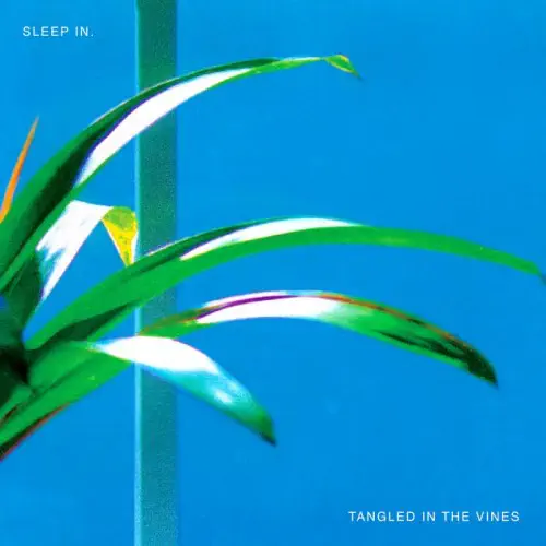 SLEEP IN. / TANGLED IN THE VINES (LP)