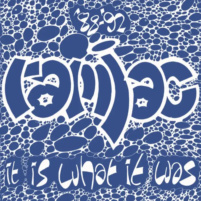 RAMJAC CORPORATION / 88-92 IT IS WHAT IT WAS (2LP)