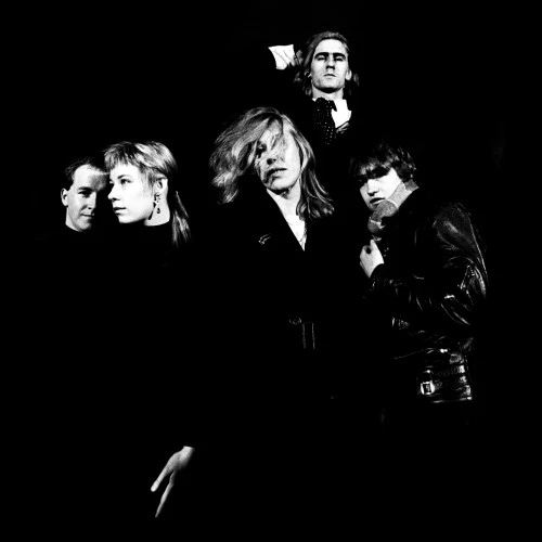GO-BETWEENS / ゴー・ビトウィーンズ / FOUNTAINS OF YOUTH (LIVE AT THE TOWN AND COUNTRY CLUB) (CD)