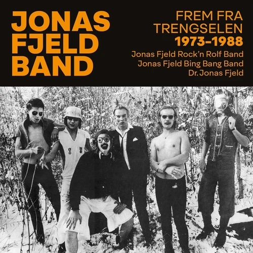 JONAS FJELD BAND / JONAS FJELD BAND 1973-1987 (13CD)
