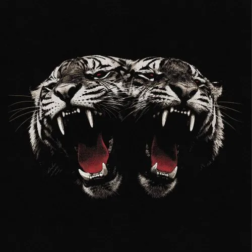 ROYAL BLOOD / ロイヤル・ブラッド / DEAD COMPANY (CD)