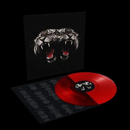 ROYAL BLOOD / ロイヤル・ブラッド / DEAD COMPANY (LP)