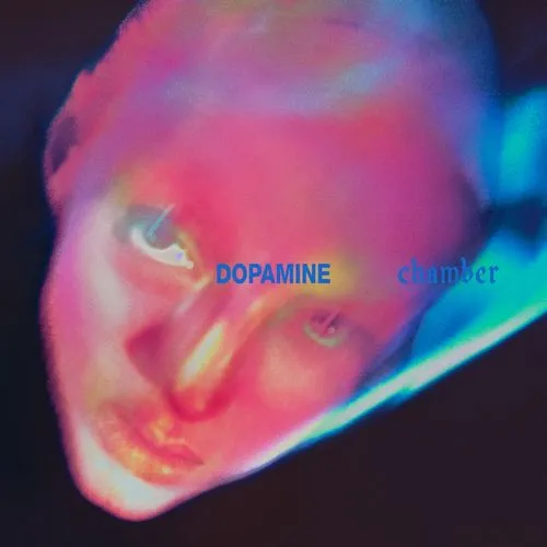FONTAINES D.C. / フォンテインズ・D.C. / DOPAMINE CHAMBER / ドーパミン･チェインバー（解説書･歌詞対訳付き ボーナストラック追加収録）