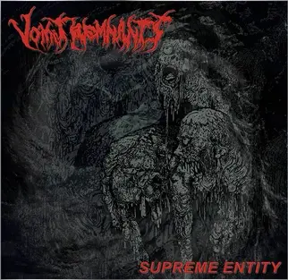 VOMIT REMNANTS / ヴォミット・レムナンツ / SUPREME ENTITY