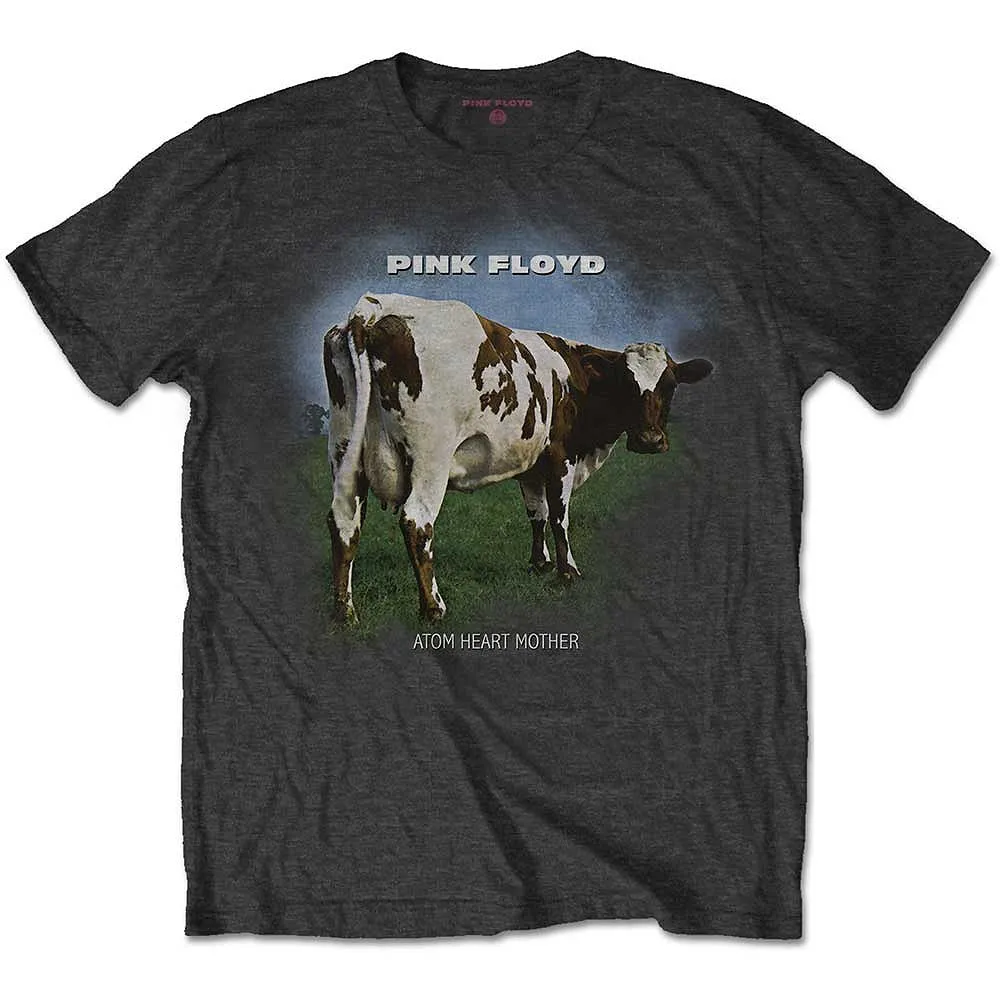 PINK FLOYD / ピンク・フロイド / SIZE:M / ATOM HEART MOTHER FADE / Tシャツ / メンズ