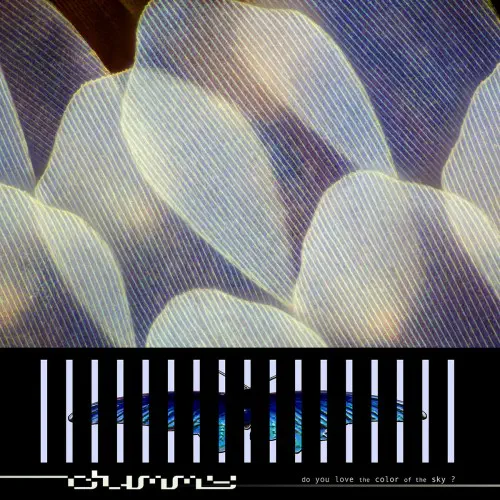 DUMMY / DO YOU LOVE THE COLOR OF THE SKY? (CASSETTE)