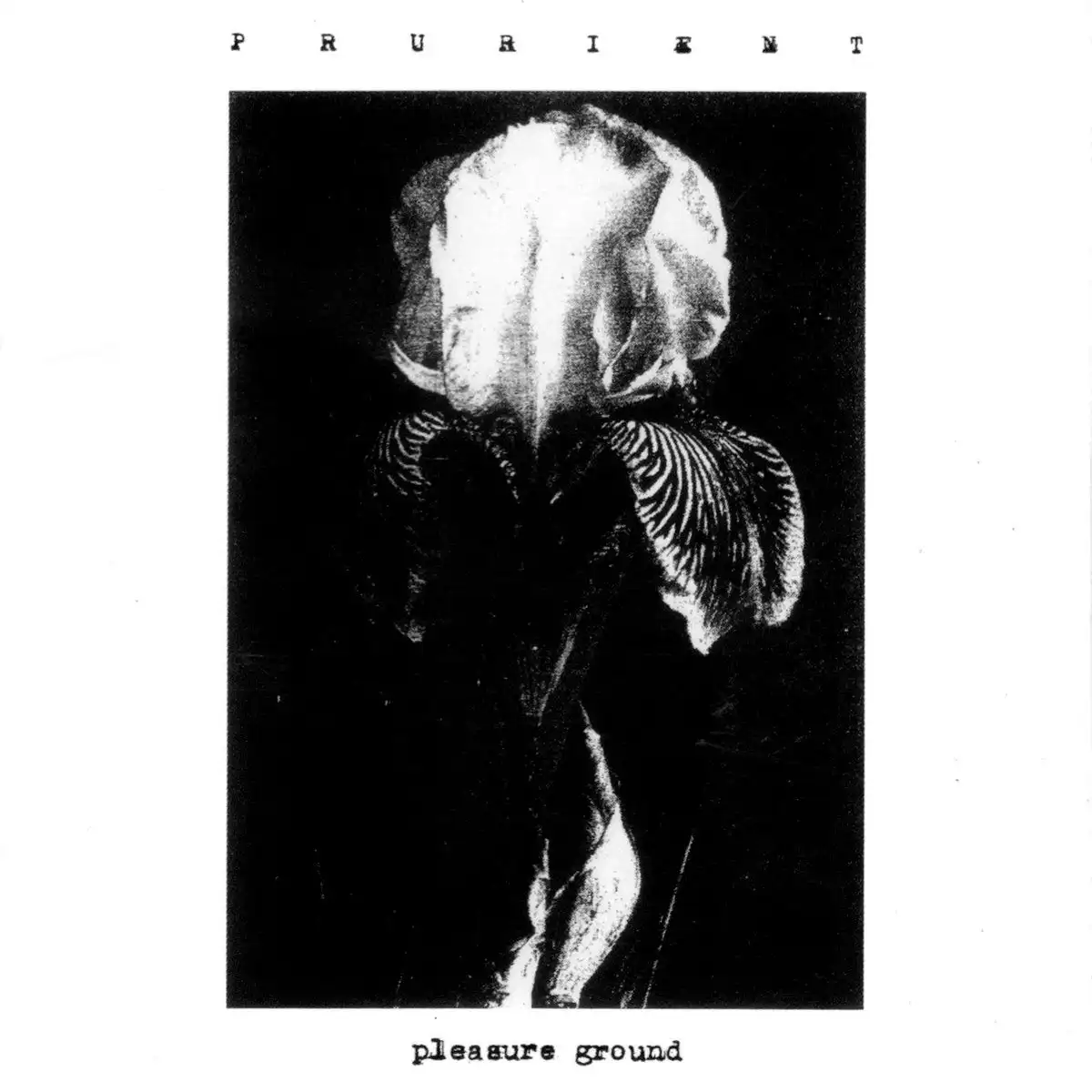 PRURIENT / プルリアント / PLEASURE GROUND [CD]