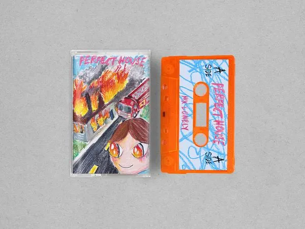 MX LONELY / PERFECT HOUSE (CASSETTE)