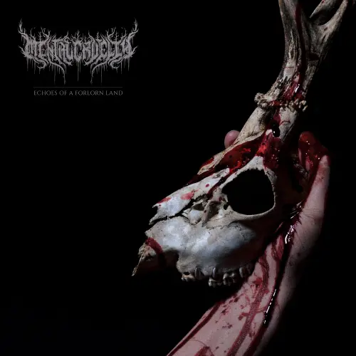 MENTAL CRUELTY / メンタル・クルーエルティ / ECHOES OF A FORLORN LAND