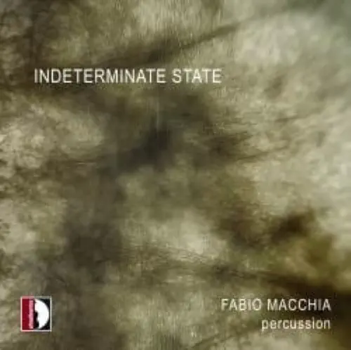 FABIO MACCHIA / ファビオ・マッキア / INDETERMINATE STATE