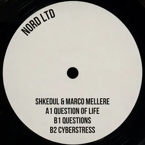 SHKEDUL & MARCO MELLERE / QUESTIONS EP