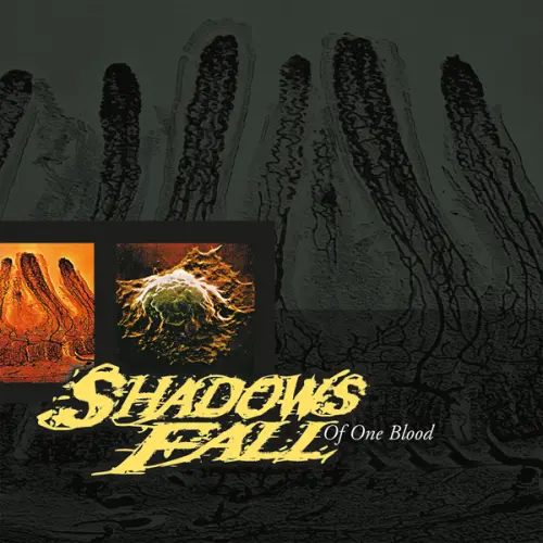 SHADOWS FALL / シャドウズ・フォール / OF ONE BLOOD (CLEAR VINYL)