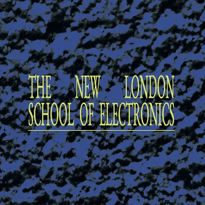 NEW LONDON SCHOOL OF ELECTRONICS / VOICES OF THE RAINFOREST