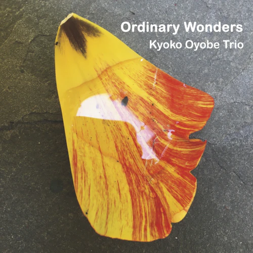 KYOKO OYOBE / 及部恭子 / ORDINARY WONDERS