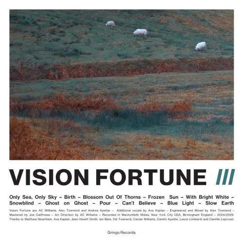 VISION FORTUNE / III (LP)