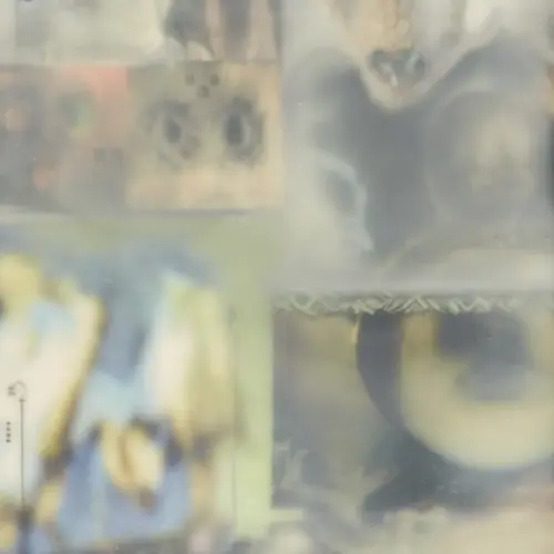 CLIMA / クリマ / APPX LP05 HEALING PATTERNS