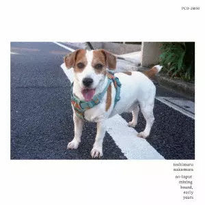 TOSHIMARU NAKAMURA / 中村としまる / NO-INPUT MIXING BOARD. EARLY YEARS / ノー・インプット・ミキシングボード、アーリー・イヤーズ