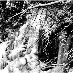 MOLOCH (from Ukraine) / モロチ / The Forest Kingdom / THE FOREST KINGDOM