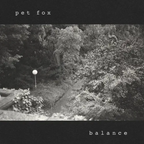 PET FOX / BALANCE (LP, COBWEB COLORED VINYL)