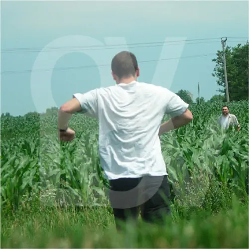 OVLOV / AM (LP, PURPLE SWIRL VINYL)
