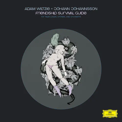 ADAM WILTZIE & JOHANN JOHANNSSON / FRIENDSHIP SURVIVAL GUIDE (LP)