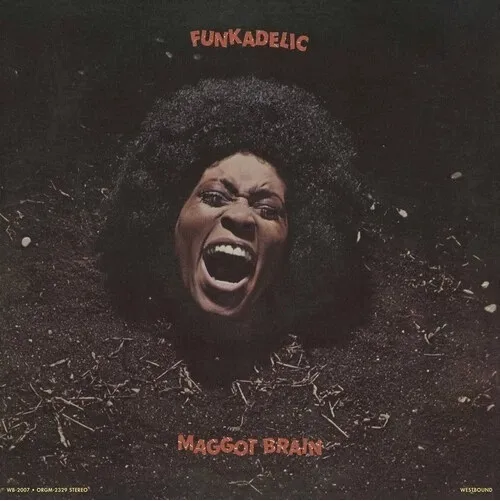 FUNKADELIC / ファンカデリック / MAGGOT BRAIN (SACD)