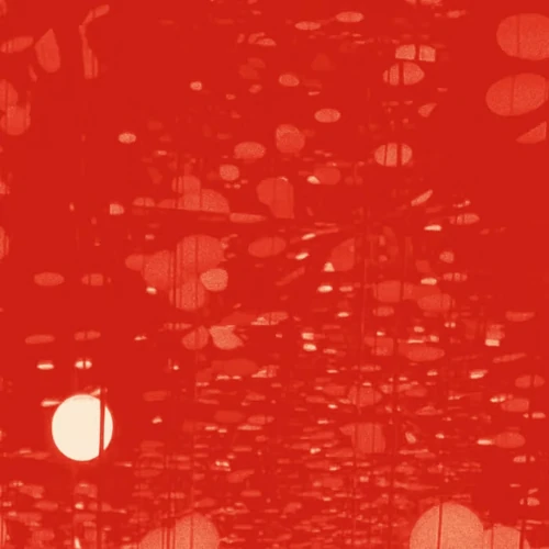 PETER KNIGHT / ピーター・ナイト / PHOSPHENES