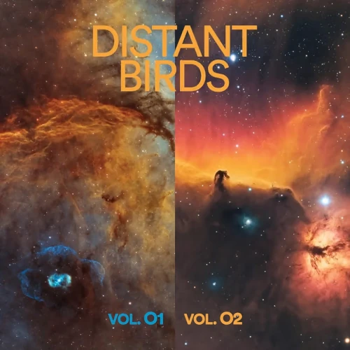DISTANT BIRDS / VOL. 01 & 02