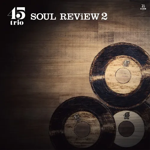 45trio / SOUL REViEW 2 (LP)