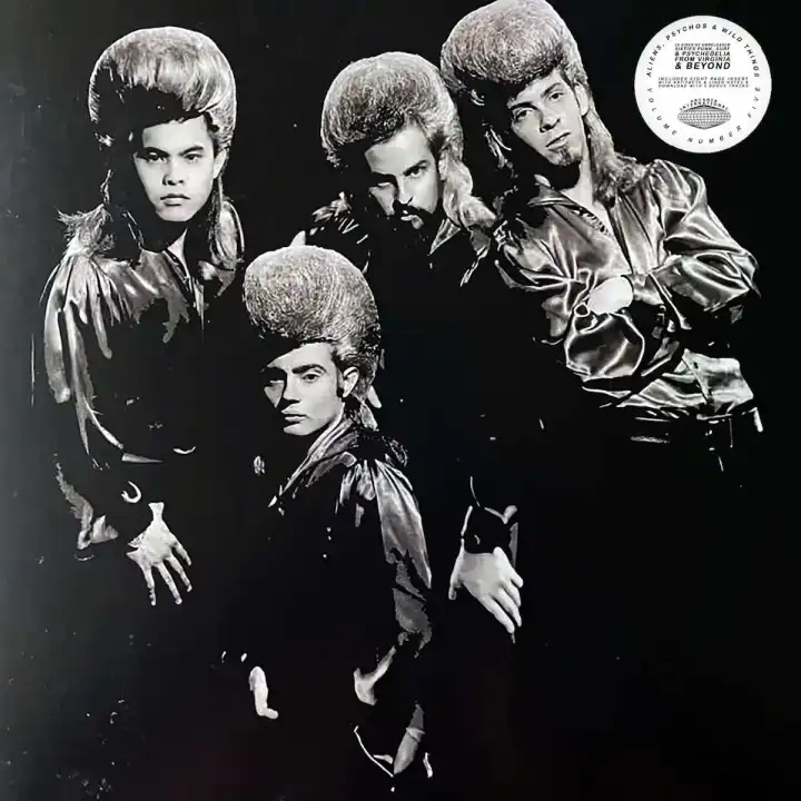 V.A. (GARAGE) / ALIENS, PSYCHOS & WILD THINGS VOL.5 (LP)