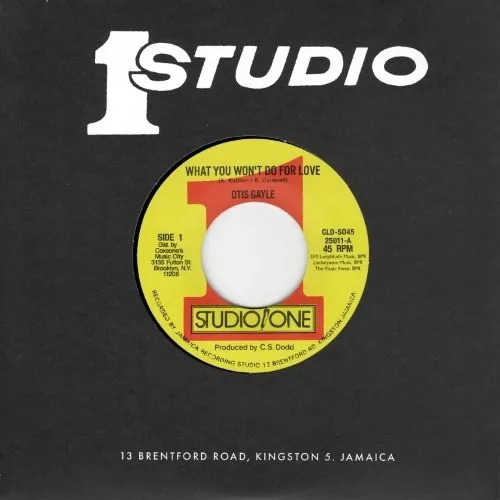 OTIS GAYLE / WHAT YOU WON'T DO FOR LOVE